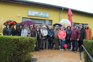 Adonis 300x200 equal